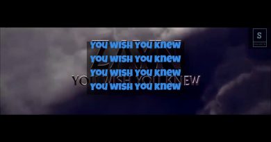 Zayn - You Wish You Knew