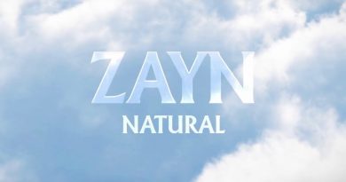 Zayn - Natural