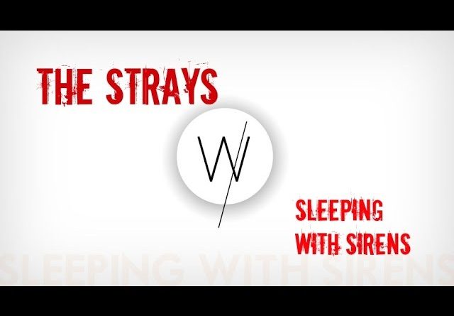 Sleeping With Sirens - The Strays