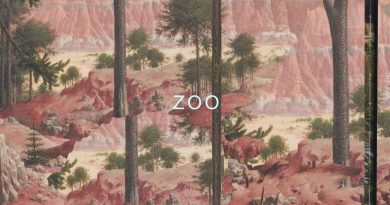 Jetta - ZOO