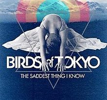 Birds Of Tokyo - The Saddest Thing I Know