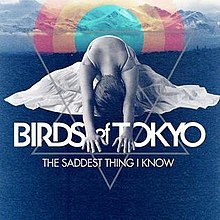 Birds Of Tokyo - The Saddest Thing I Know