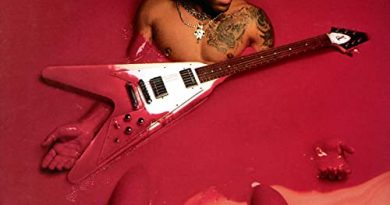 Lenny Kravitz - I Don't Want To Be A Star