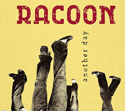 Racoon - Hilarious