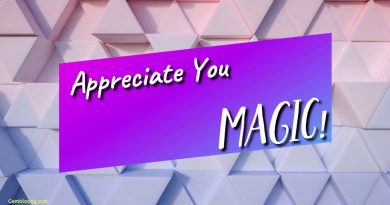 MAGIC! - Appreciate