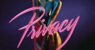 Chris Brown - Privacy