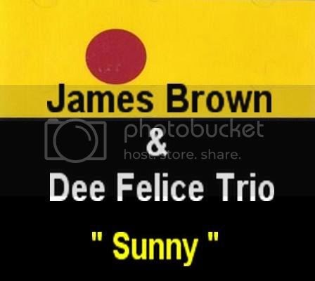 James Brown, Dee Felice Trio - Sunny