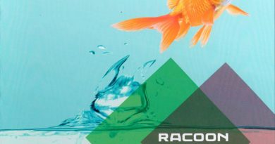 Racoon - Happy Thoughts