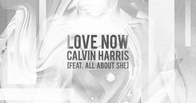 Love Now Calvin Harris, All About She