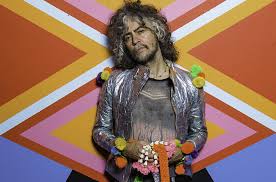 The Flaming Lips - What Does It Mean?