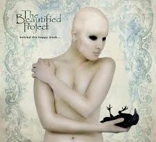 The Beautified Project - Stupid Love Song