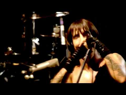 Red Hot Chili Peppers - Purple Stain
