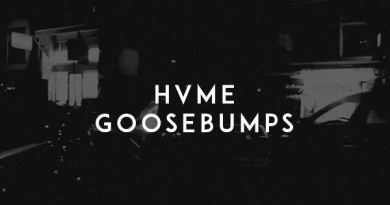 HVME - Goosebumps