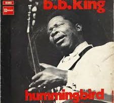 B.B. King - Hummingbird