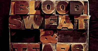 Blood Sweat Ft. Tears - Spinning Wheel