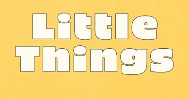 Lemaitre - Little Things