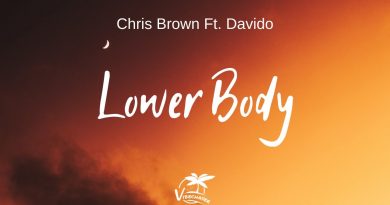 Chris Brown, Davido - Lower Bod