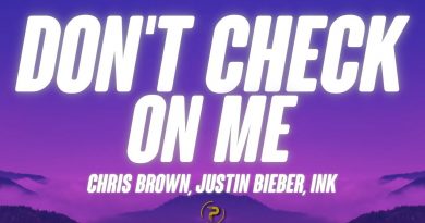 Chris Brown, Justin Bieber, INK - Don't Check On Me