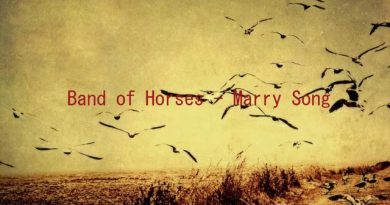 Band Of Horses - Marry Song
