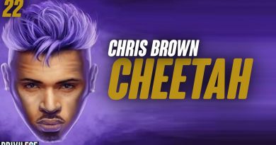 Chris Brown - Cheetah