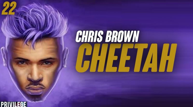 Chris Brown - Cheetah