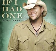 Toby Keith - If I Had One