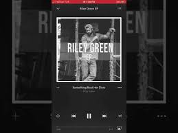 Riley Green - Something Bout Her Dixie