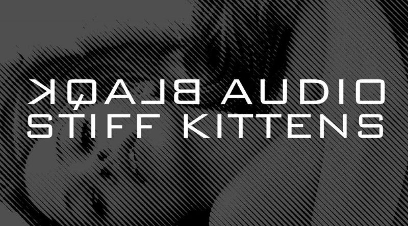 Blaqk Audio - Stiff Kittens