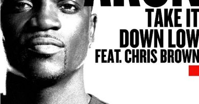 Akon - Take It Down Low (Feat. Chris Brown)