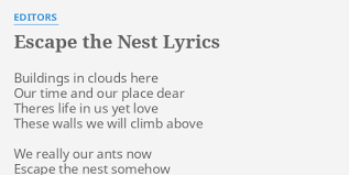 Editors - Escape the Nest