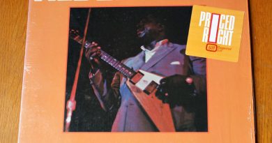 Albert King - I'll Play The Blues For You