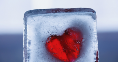 Blutengel - Frozen Heart