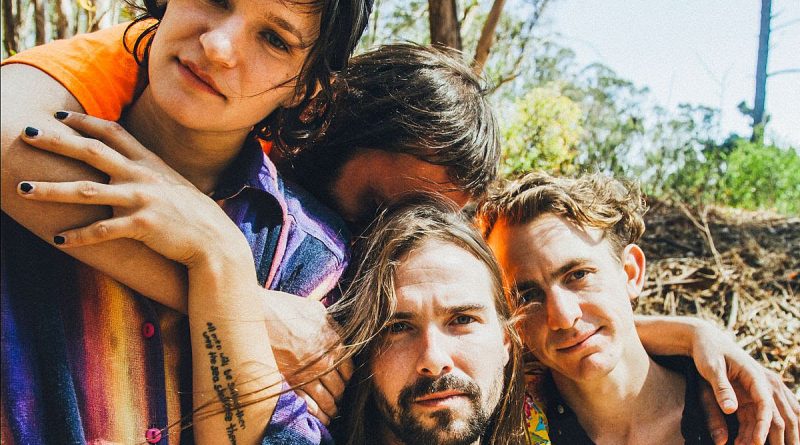 Big Thief - Animals