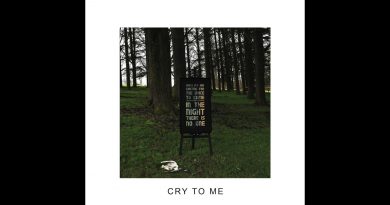 IDLES - Cry To Me