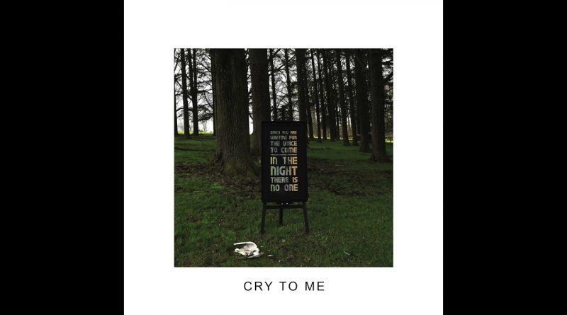 IDLES - Cry To Me