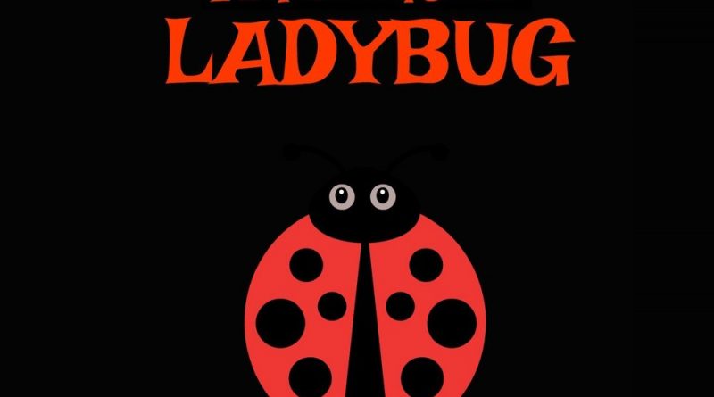 ladybug