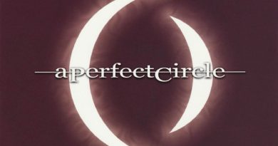 A Perfect Circle - Sleeping Beauty