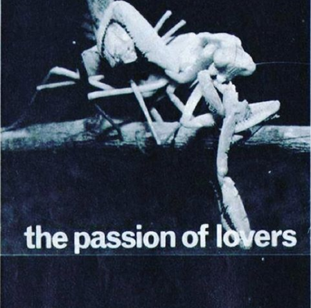 Bauhaus - Passion Of Lovers
