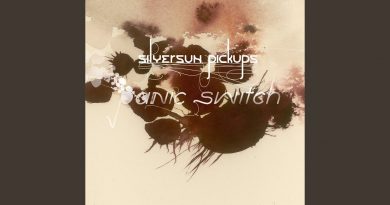 Silversun Pickups - Panic Switch