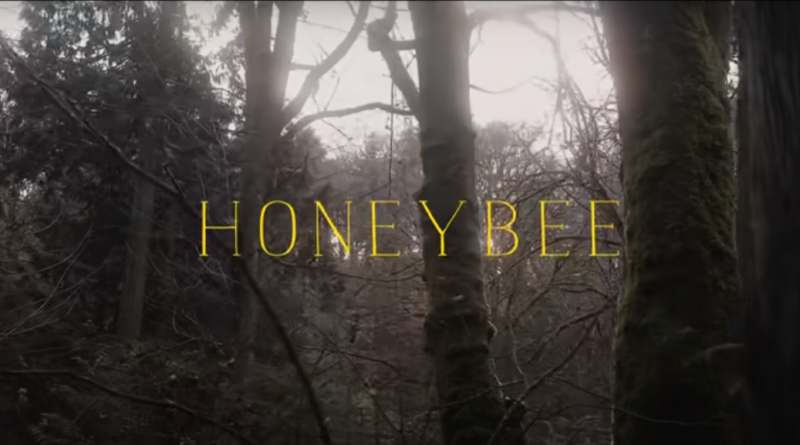 The Head And The Heart - Honeybee