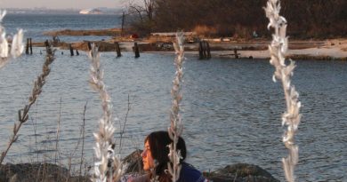 Weyes Blood - Cardamom