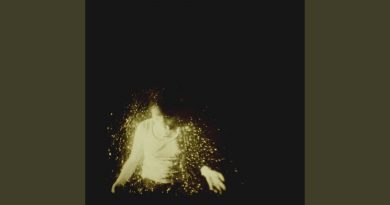 Wolf Alice - Turn to Dust