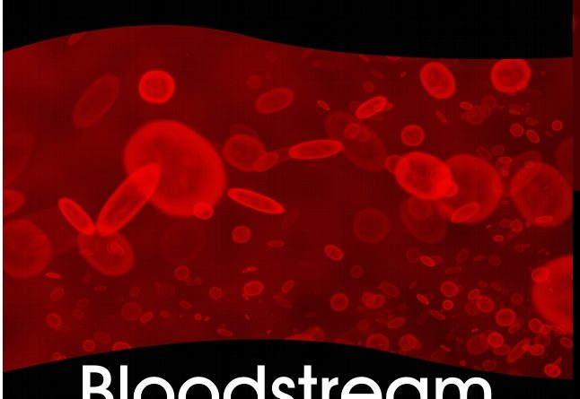 Bloodstream - Occupation