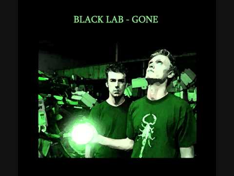 Black Lab - Gone