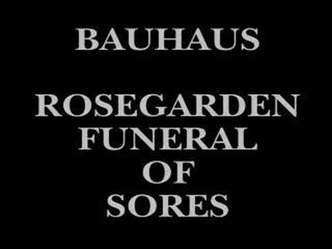 Bauhaus - Rosegarden Funeral Of Sores