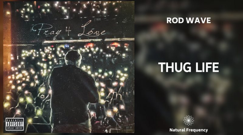 Rod Wave - Thug Life