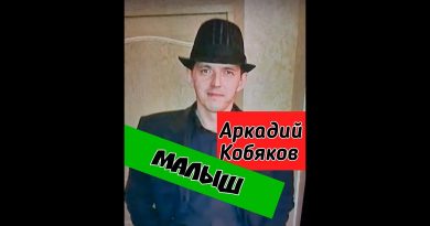 Аркадий Кобяков - Малыш