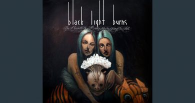 Black Light Burns - Because Of You