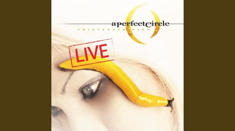 A Perfect Circle - Gravity