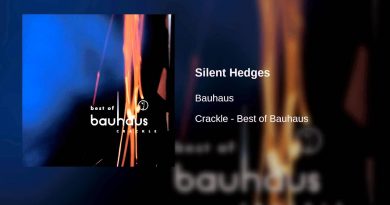 Bauhaus - Silent Hedges